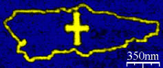 TNT05 - See More Info